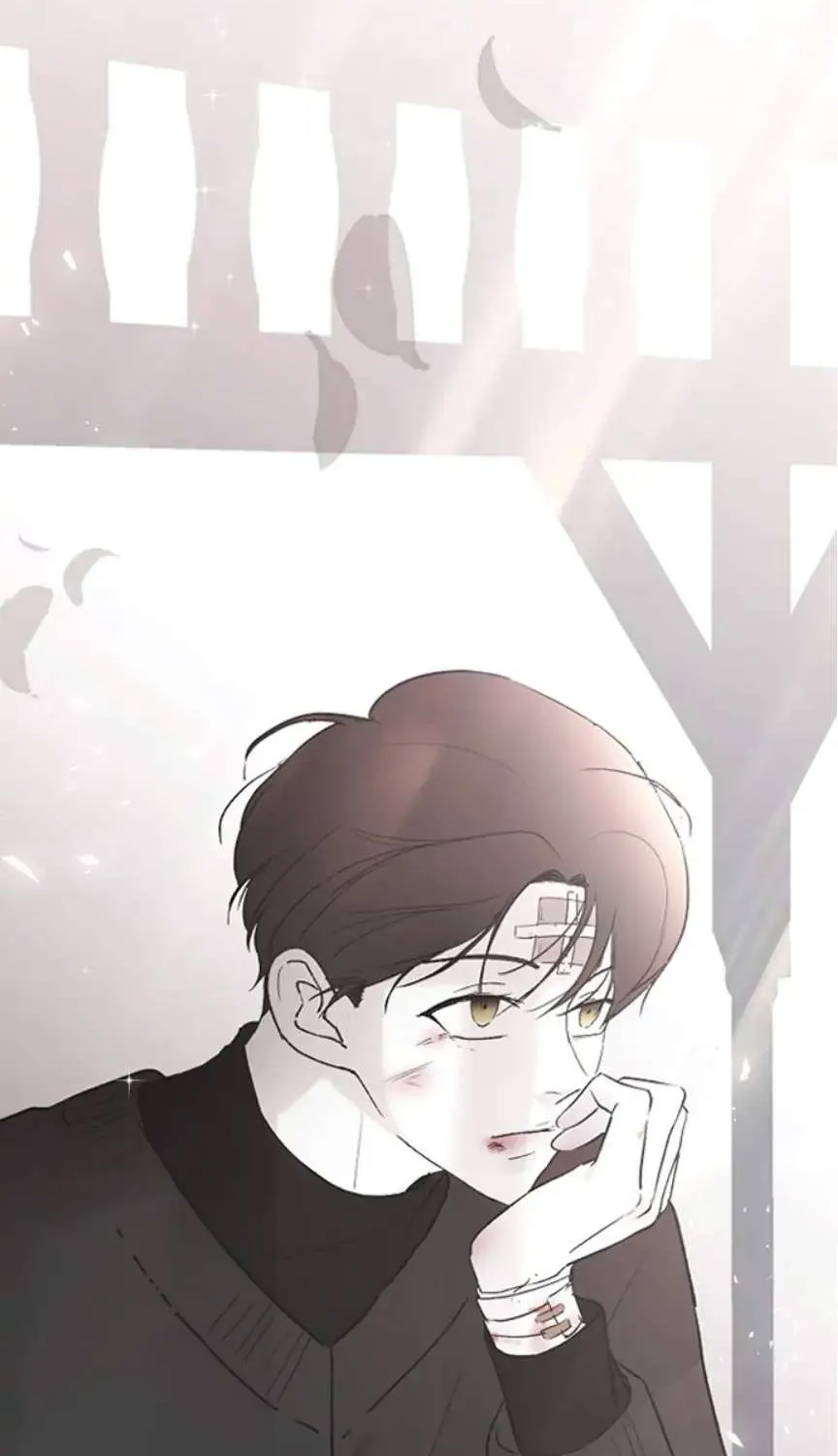 Read Three Brothers chapter 50 image 135 on Lezhin