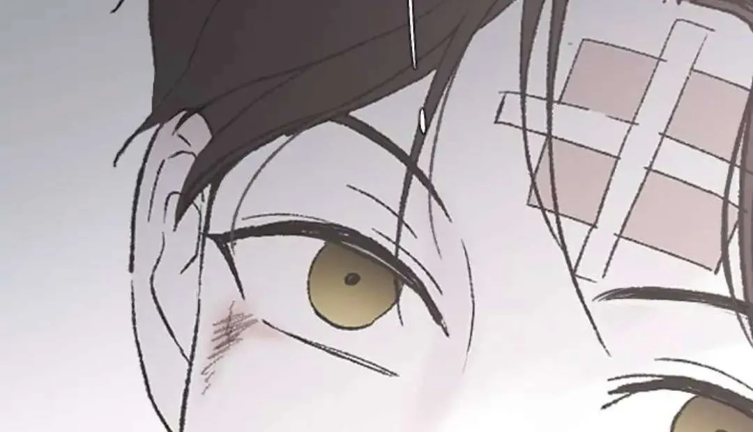 Read Three Brothers chapter 53 image 168 on Lezhin