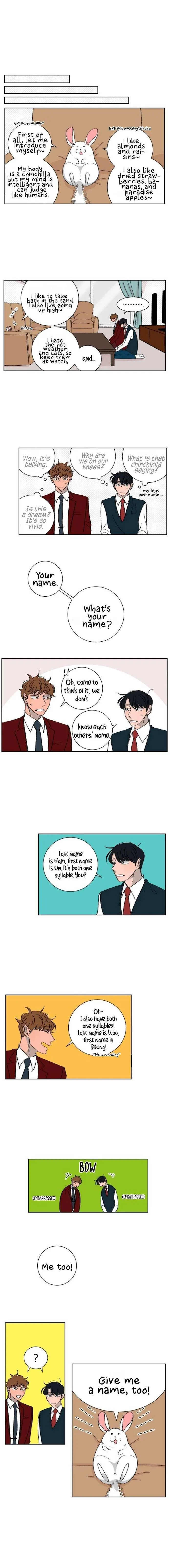 Read Three Men, One Chinchilla chapter 4 image 5 on Lezhin