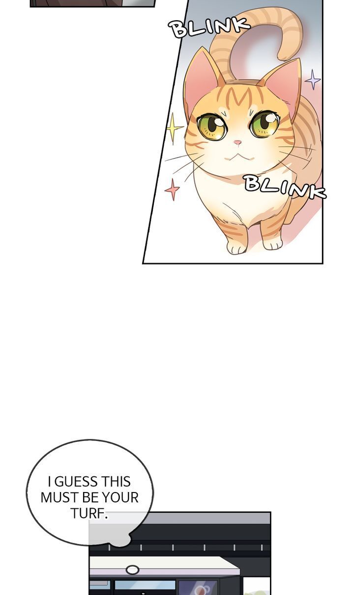 Read Three’s a Crowd chapter 4 image 44 on Lezhin