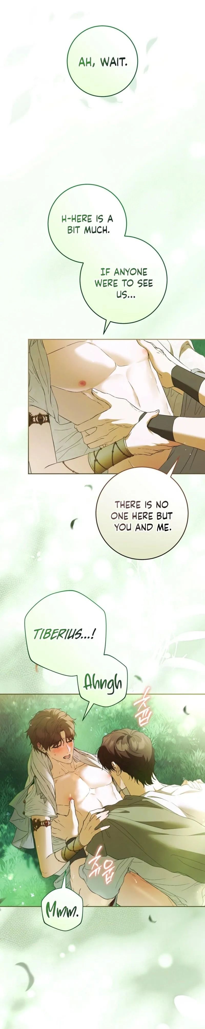 Read Through the Laurel Branches chapter 1 image 3 on Lezhin