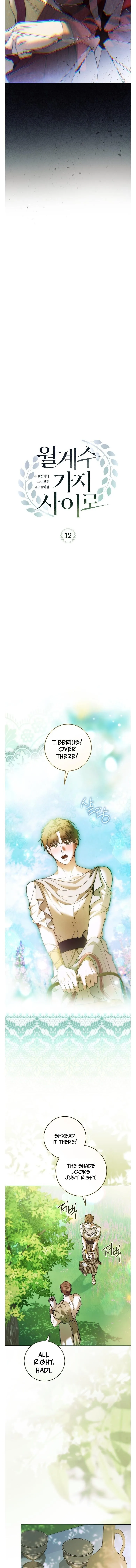 Read Through the Laurel Branches chapter 12 image 5 on Lezhin