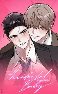 Cover of Accidental baby
