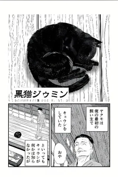 Cover of Black Cat Jiumin
