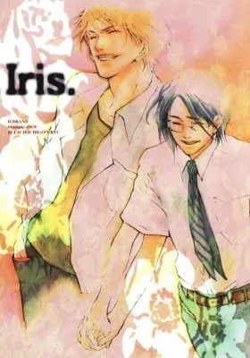 Bleach dj - After Iris
