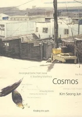 Cosmos Flower