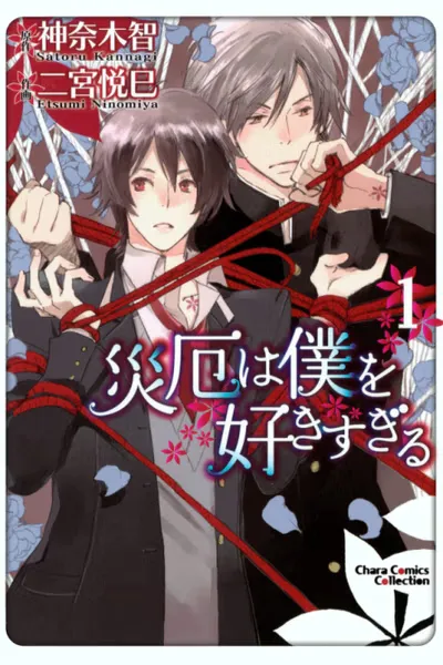 Cover of Disasters Like Me Too Much