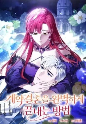 Cover of Ending This Marriage for Your Happiness