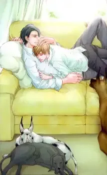 Endless Comfort