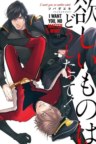 Hoshii Mono wa Doushitatte