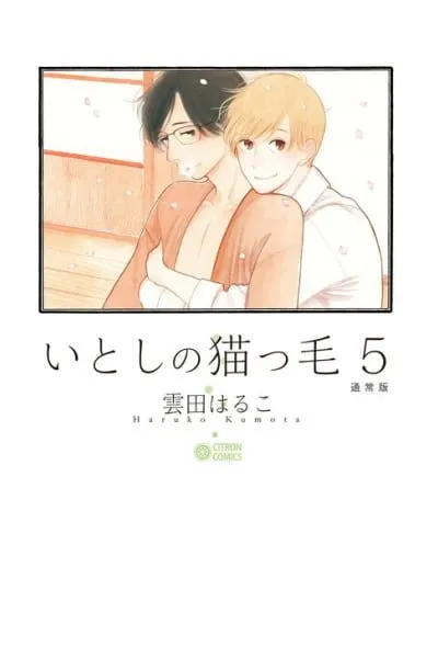 Itoshi no Nekokke