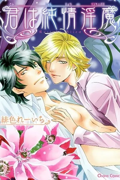 Kimi wa Junjou Incubus