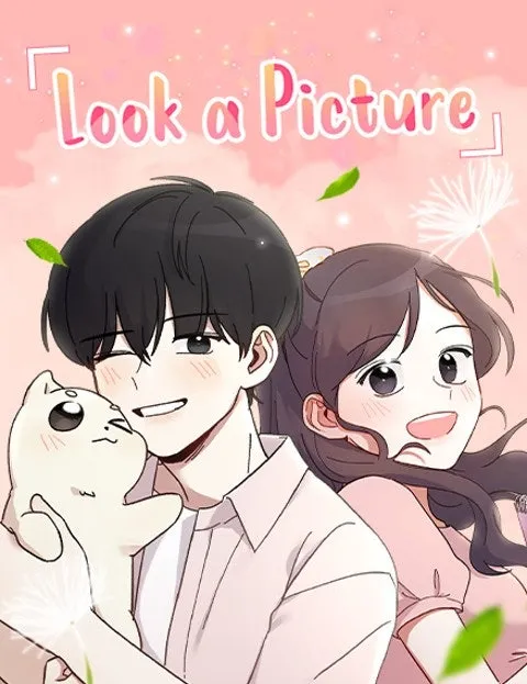 Look a Picture