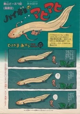 Mahimahi the Lungfish (Colored)