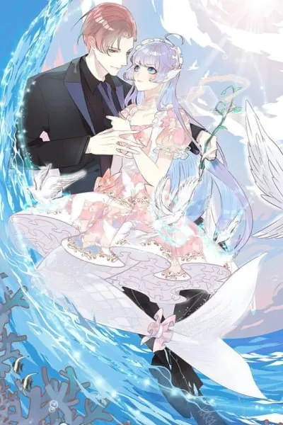 Mermaid's Dresses