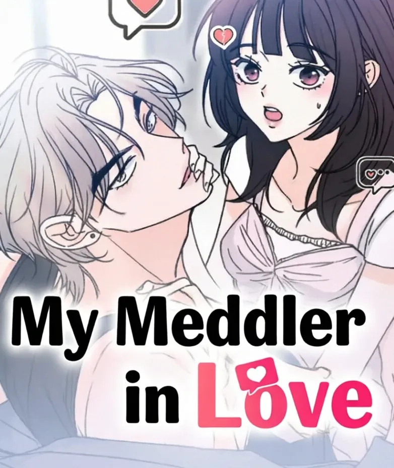 Cover of My Meddler in Love