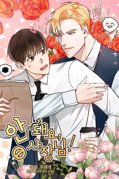 No, CEO-nim!