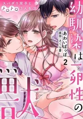 Chapter Cover