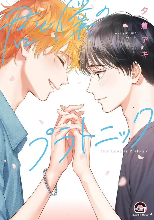 Our Love is Platonic