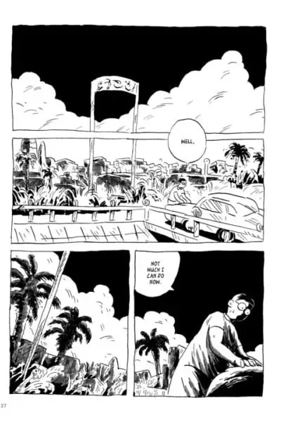 Cover of Palm Trees