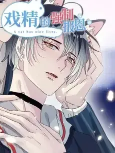 Pay Me Back, Mr. Cat