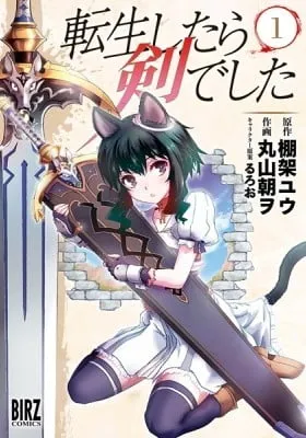 Reincarnated as a Sword