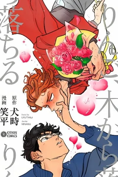 Ringo, Ki kara Ochiru