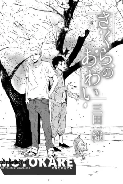 Sakura no Awai