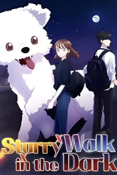 Cover of Starry Walk in the Dark