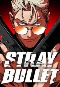 Stray Bullet