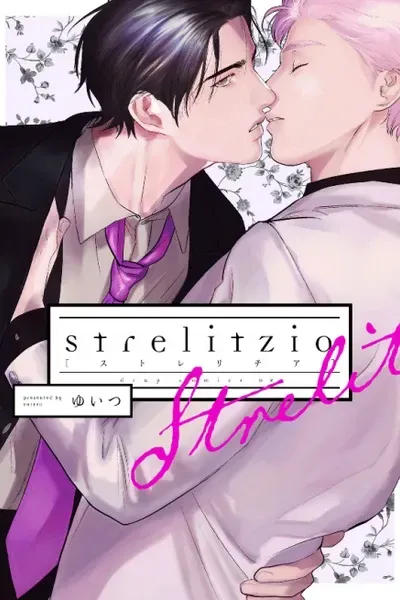 Strelitzia