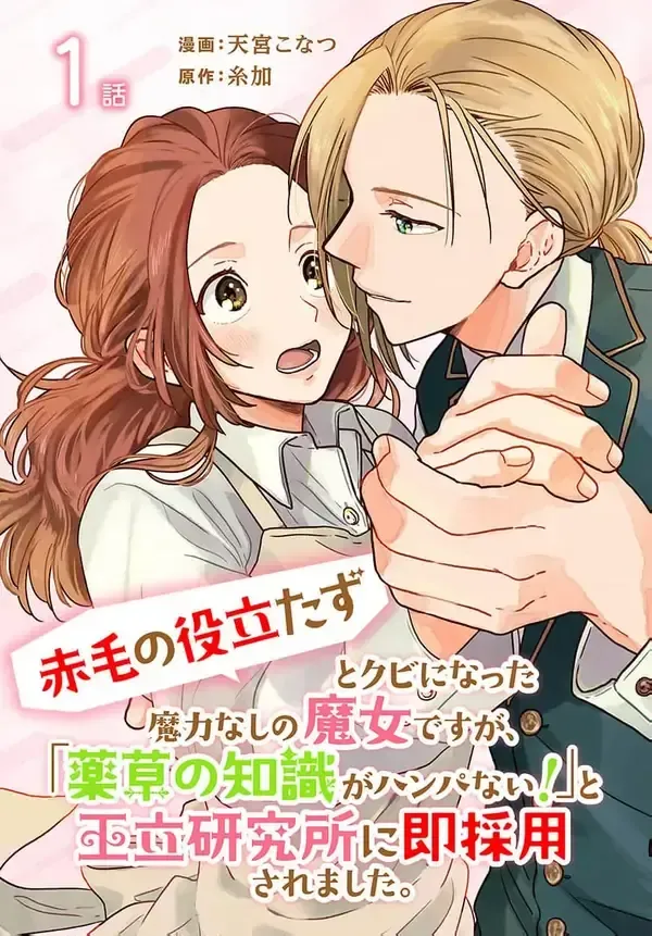 Cover of The red haired witch