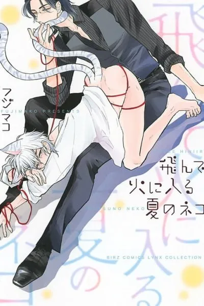 Tonde Hi Ni Iru Natsu No Neko