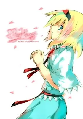 Cover of Touhou Project dj - My Heart