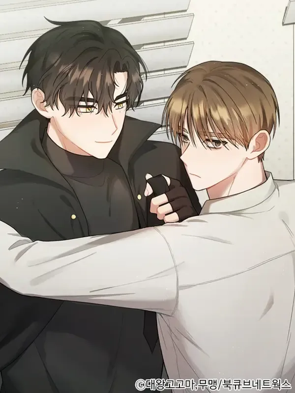 Cover of Villain's Private Secret