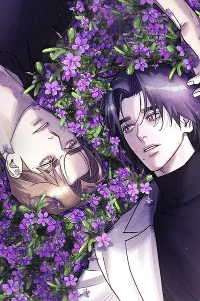 Cover of When the Violets Bloom