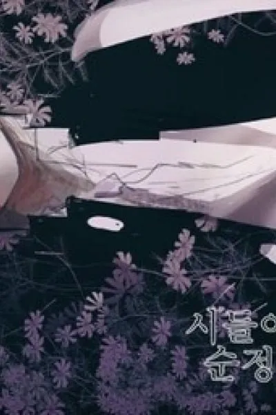 Withered Innocent Cosmos