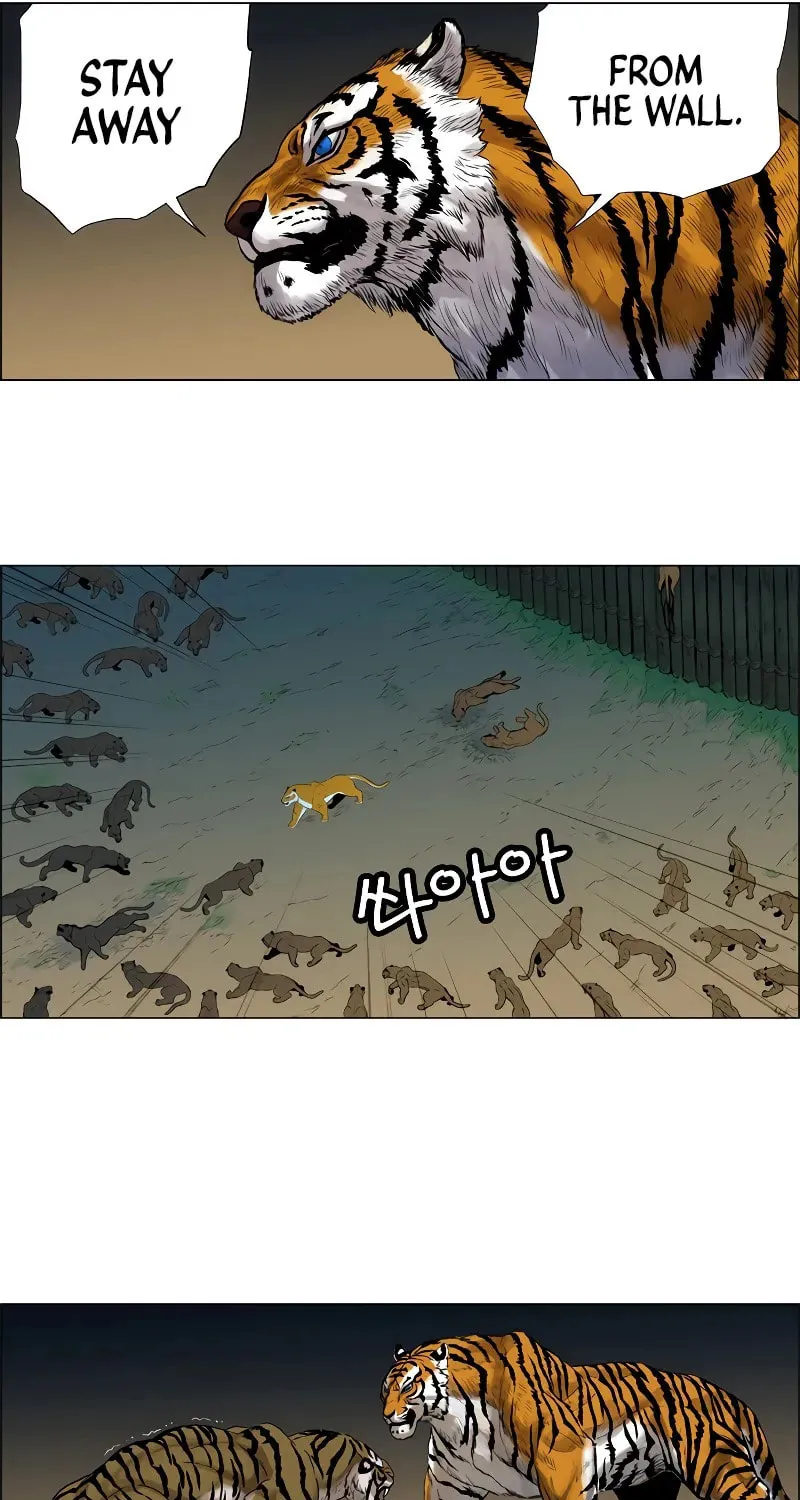 Read Tiger Brother - Barkhan chapter 2 image 39 on Lezhin
