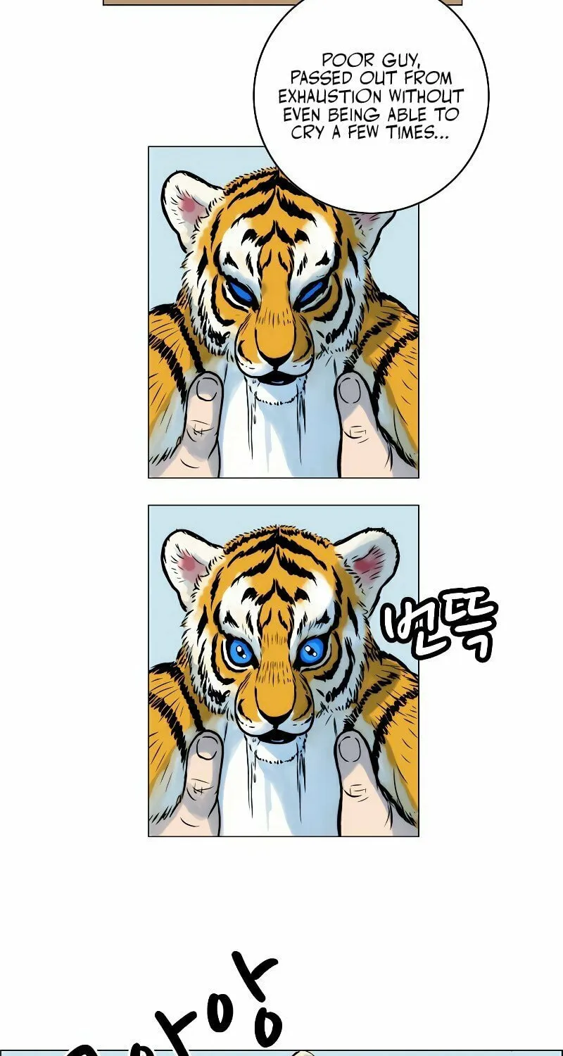 Tiger Brother - Hổ Sư Huynh Chapter 8 page 20 - 