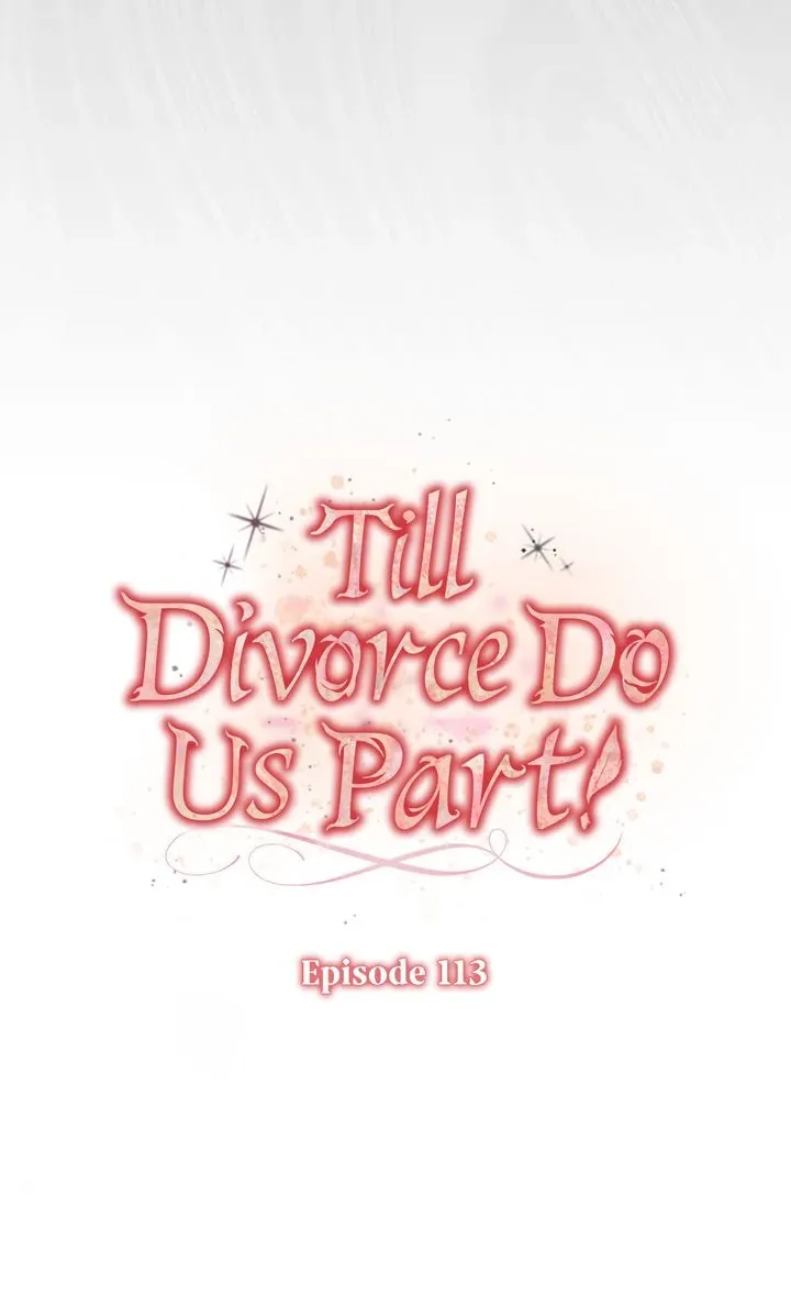 Read Till Divorce Do Us Part! chapter 113 image 15 on Lezhin