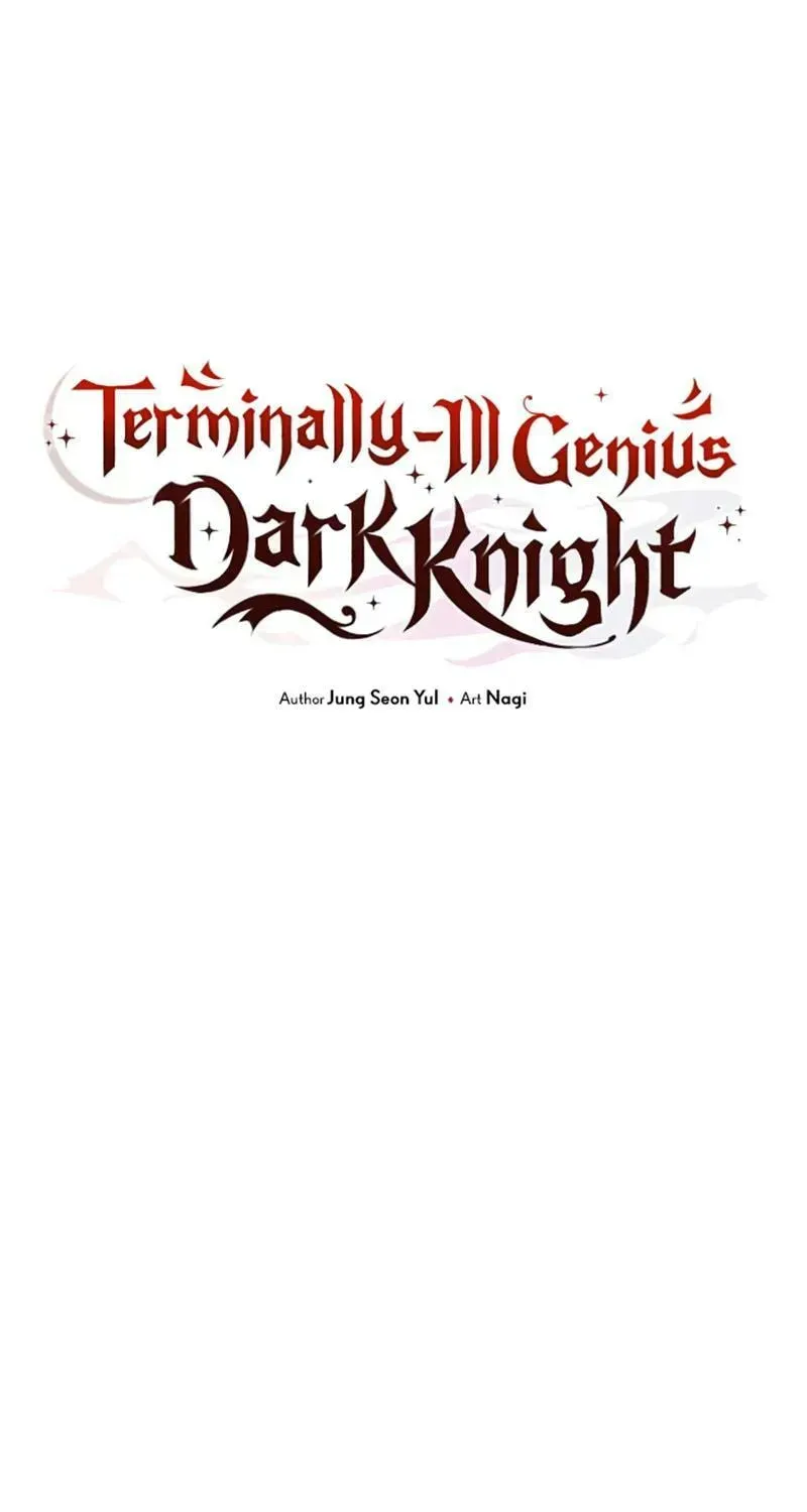 Read Time-Limited Genius Dark Knight chapter 113.2 image 30 on Lezhin