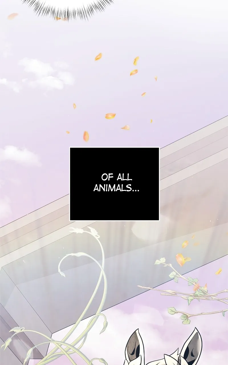 Read Time-Limited Genius Dark Knight chapter 9 image 42 on Lezhin