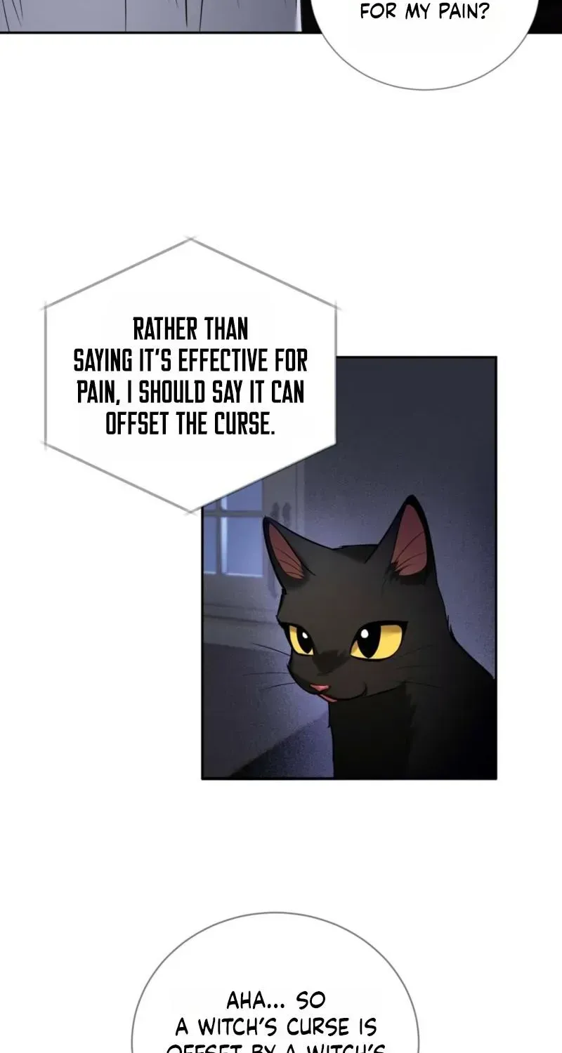 Read Tinder Box chapter 1.1 image 67 on Lezhin