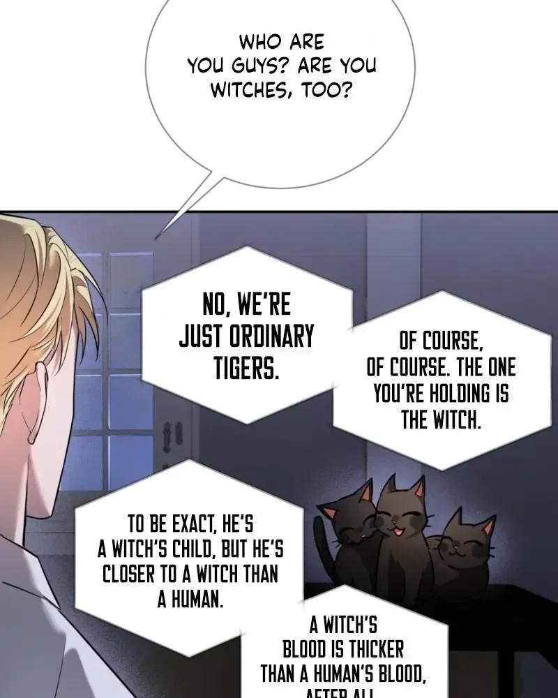 Read Tinder Box chapter 1.1 image 71 on Lezhin