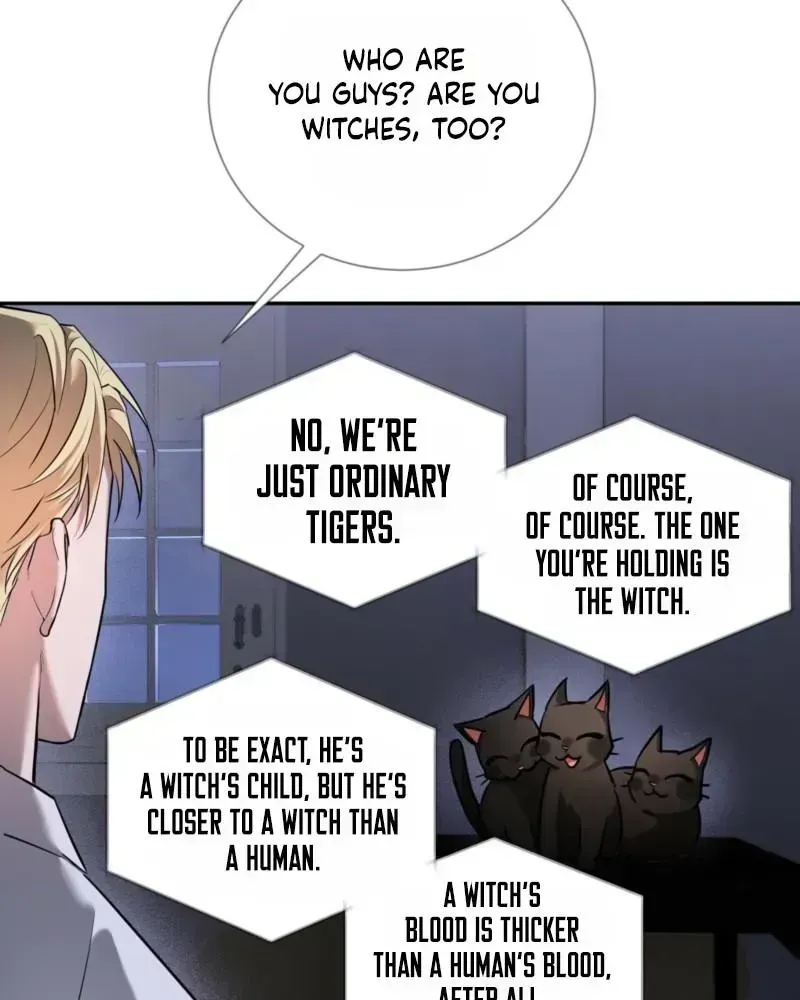Read Tinder Box chapter 1.2 image 71 on Lezhin