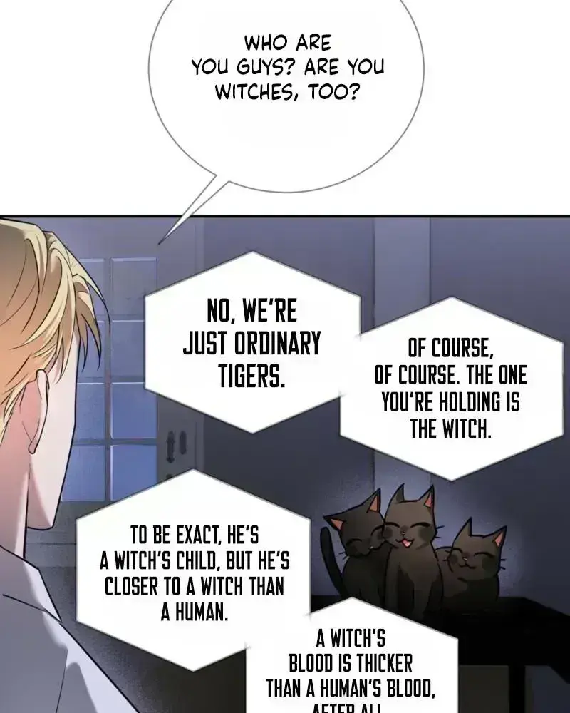 Read Tinder Box chapter 1.8 image 71 on Lezhin