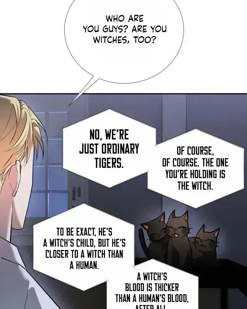 Read Tinder Box chapter 1.9 image 71 on Lezhin