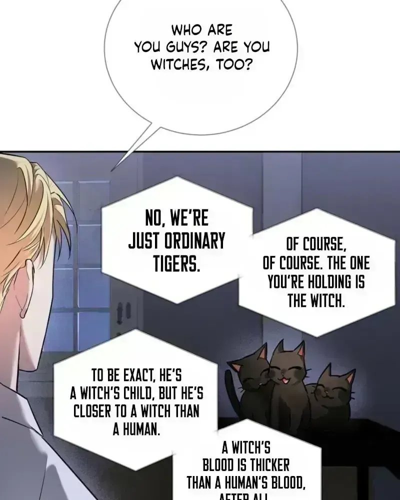 Read Tinder Box chapter 2.2 image 71 on Lezhin