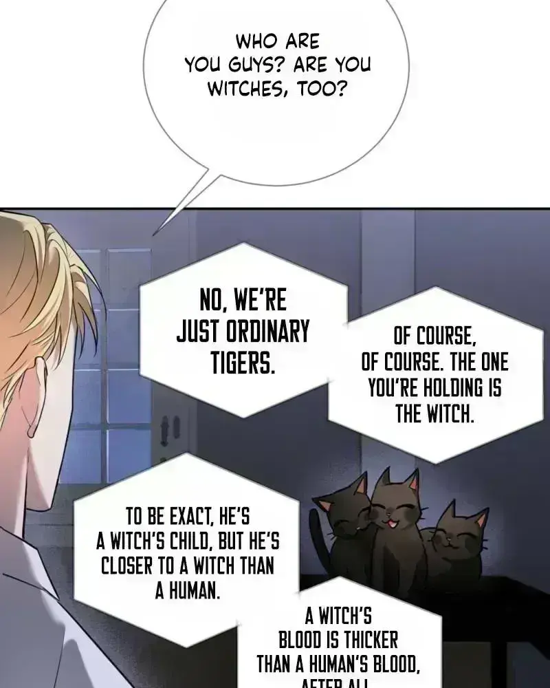 Read Tinder Box chapter 2.3 image 71 on Lezhin