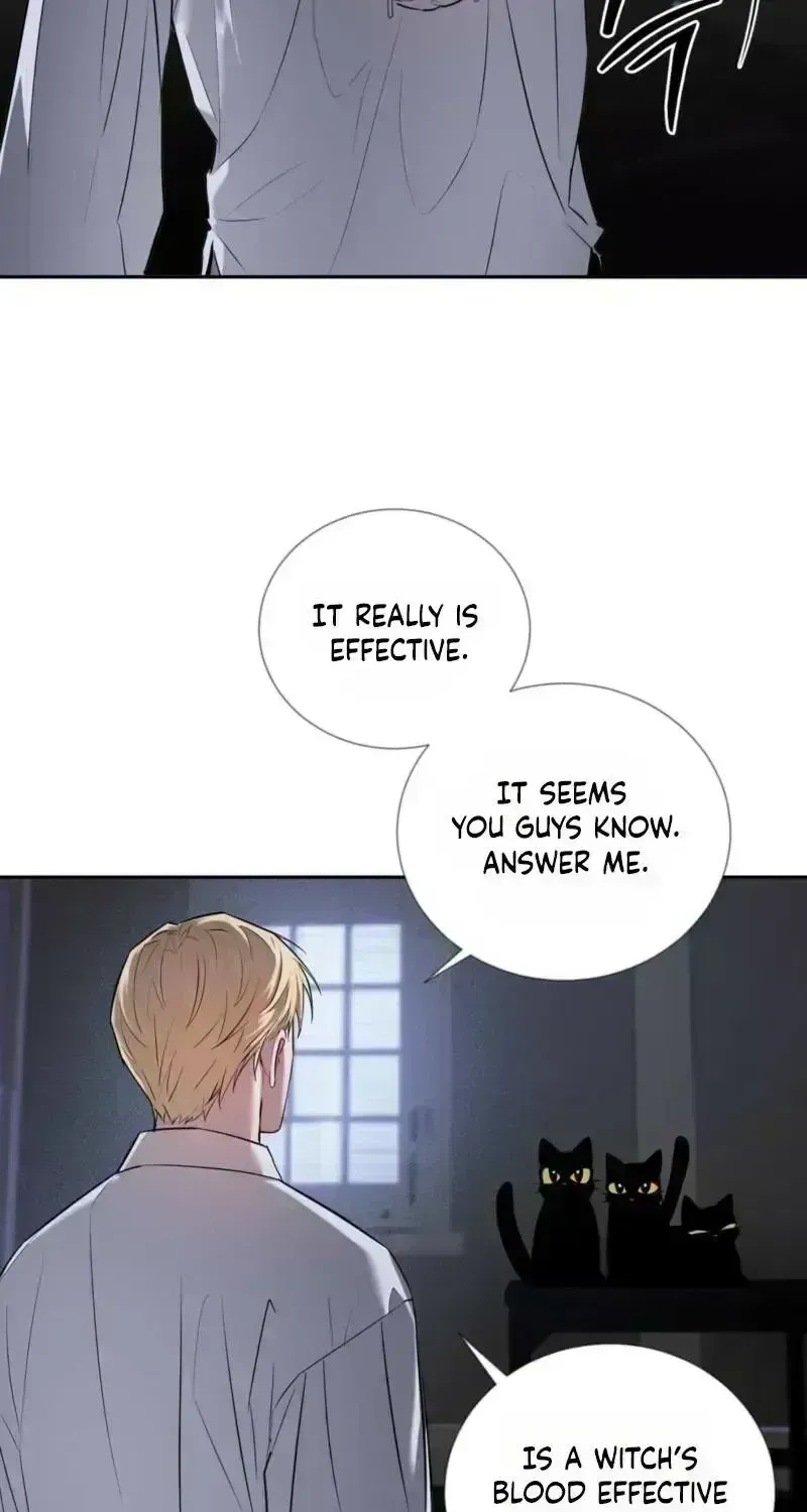 Read Tinder Box chapter 2 image 66 on Lezhin